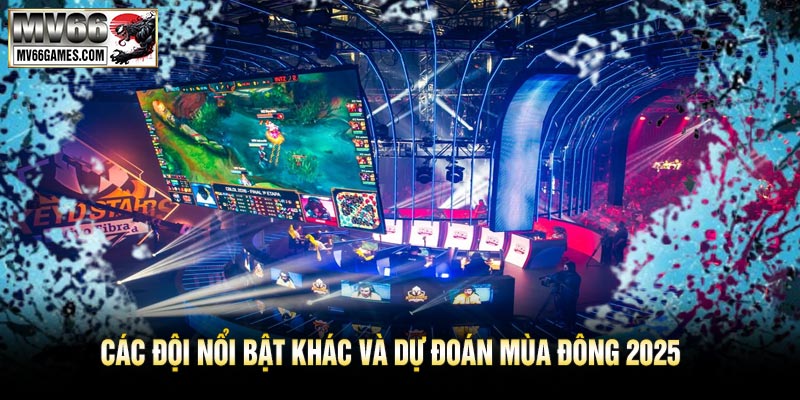 Các Đội Nổi Bật Khác Và Dự Đoán Mùa Đông 2025
