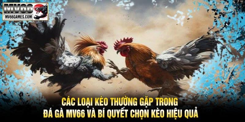 Các Loại Kèo Thường Gặp Trong Đá Gà MV66 Và Bí Quyết Chọn Kèo Hiệu Quả