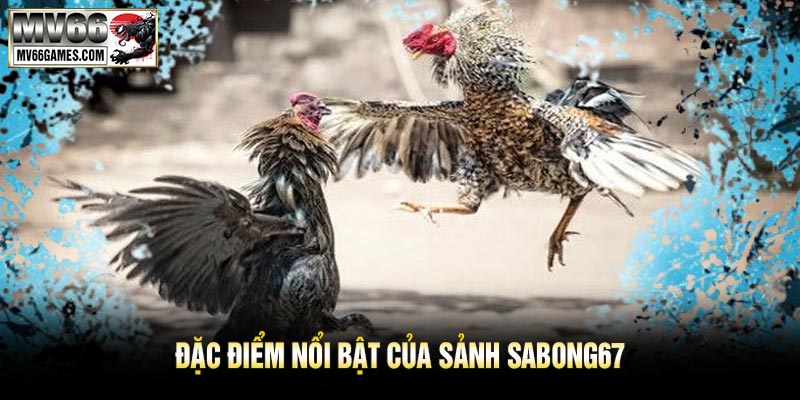 Đặc Điểm Nổi Bật Của Sảnh SABONG67