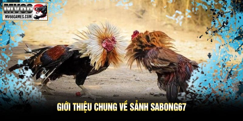 Giới Thiệu Chung Về Sảnh SABONG67