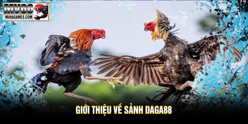 Giới Thiệu Về Sảnh DAGA88