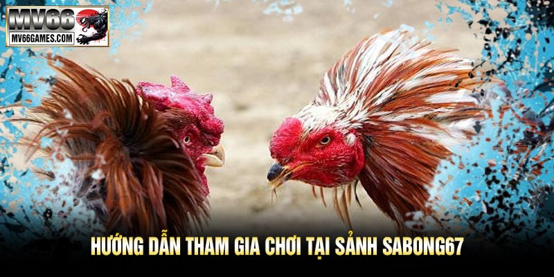Hướng Dẫn Tham Gia Chơi Tại Sảnh SABONG67