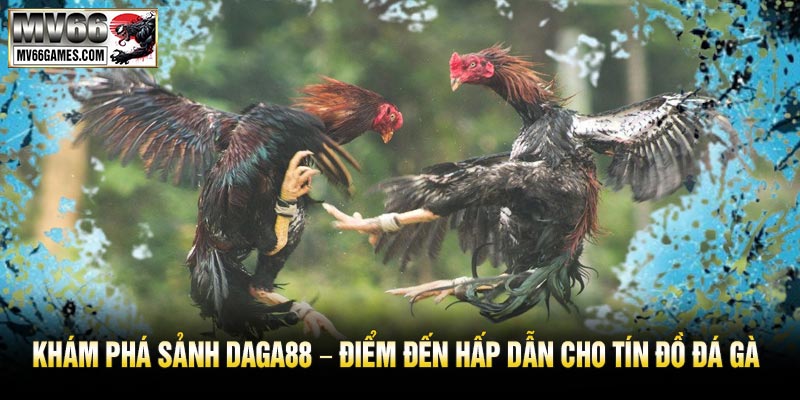 Khám Phá Sảnh DAGA88 – Điểm Đến Hấp Dẫn Cho Tín Đồ Đá Gà