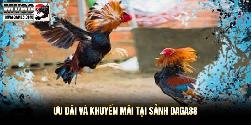Ưu Đãi Và Khuyến Mãi Tại Sảnh DAGA88